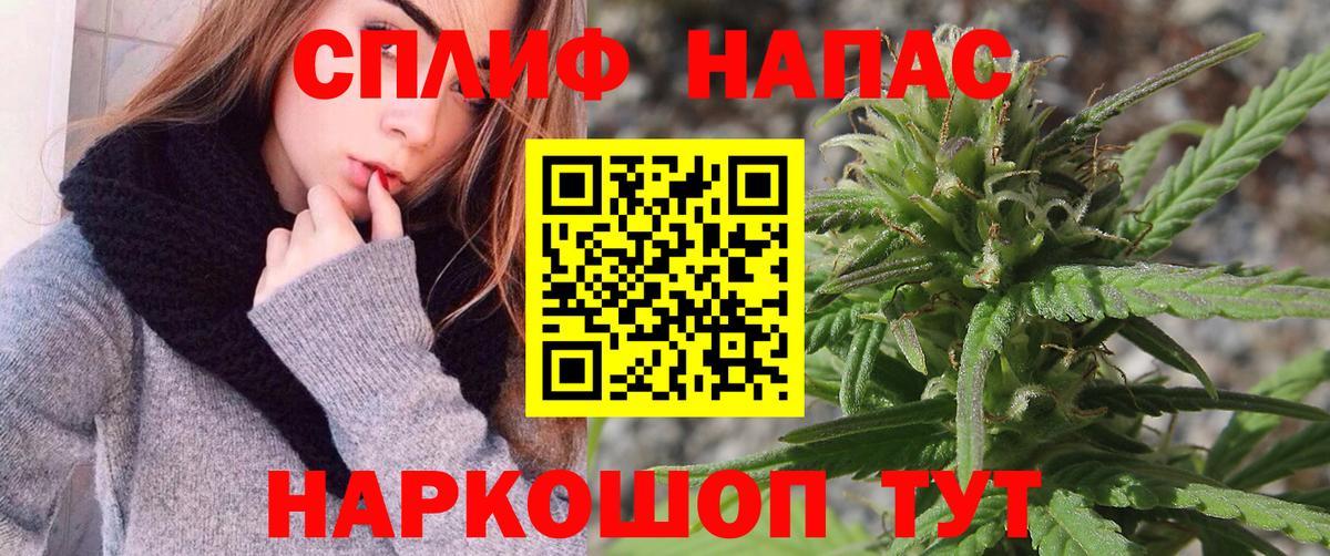 Каннабис планчик Мыски